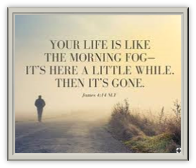 Fog