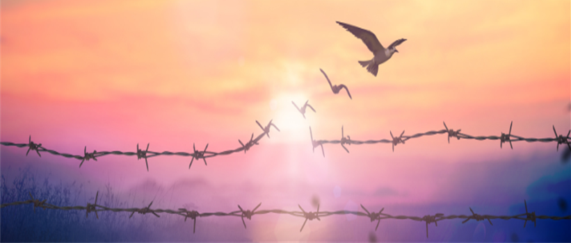 PEACE-SUN-Cropped