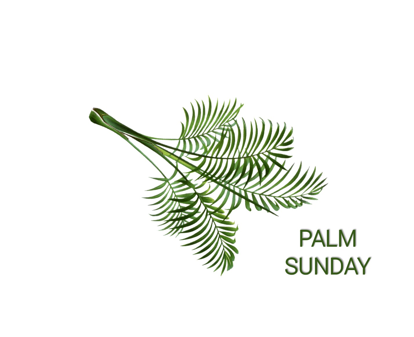Palm-Sunday