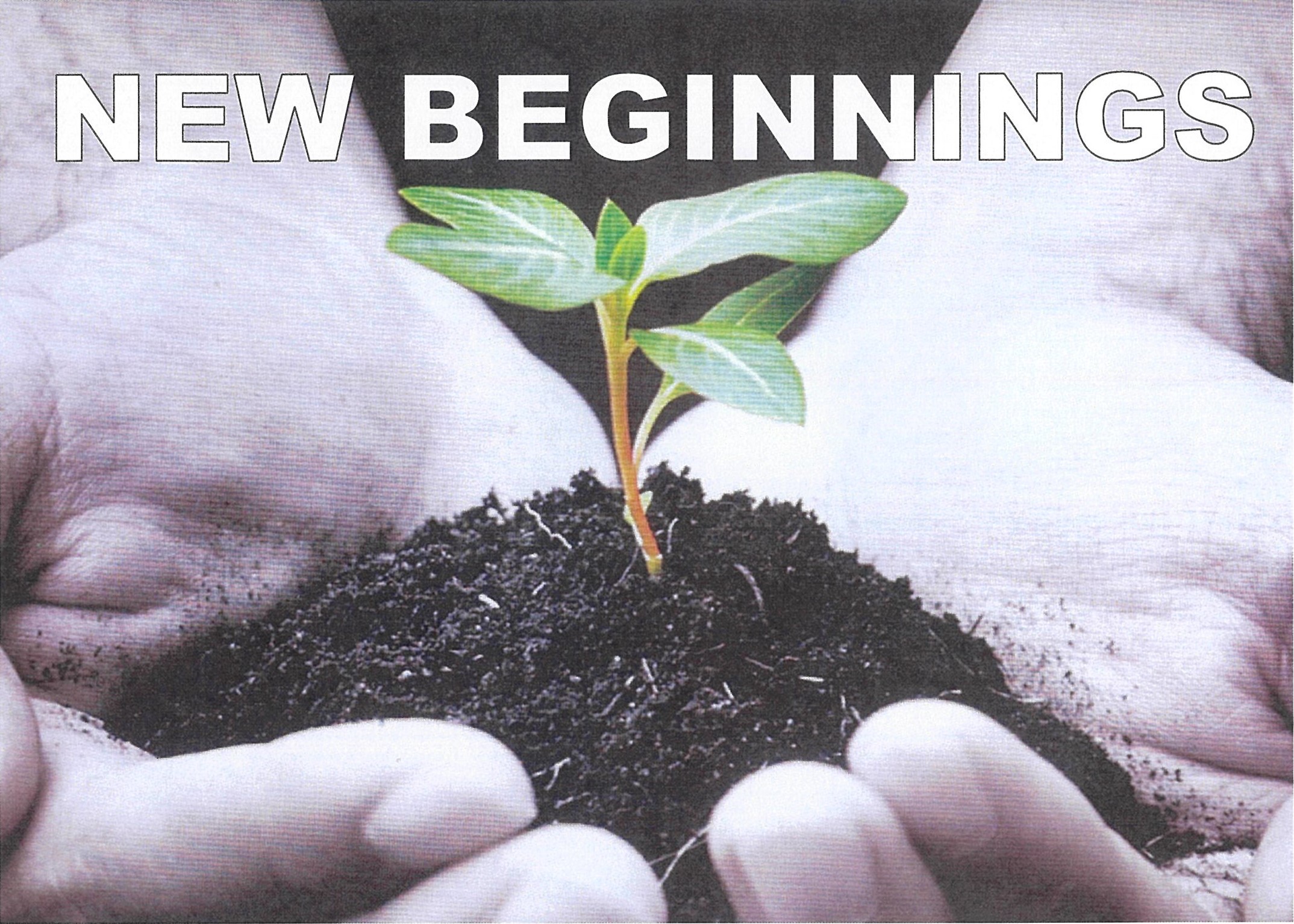 nEW-bEGINNINGS
